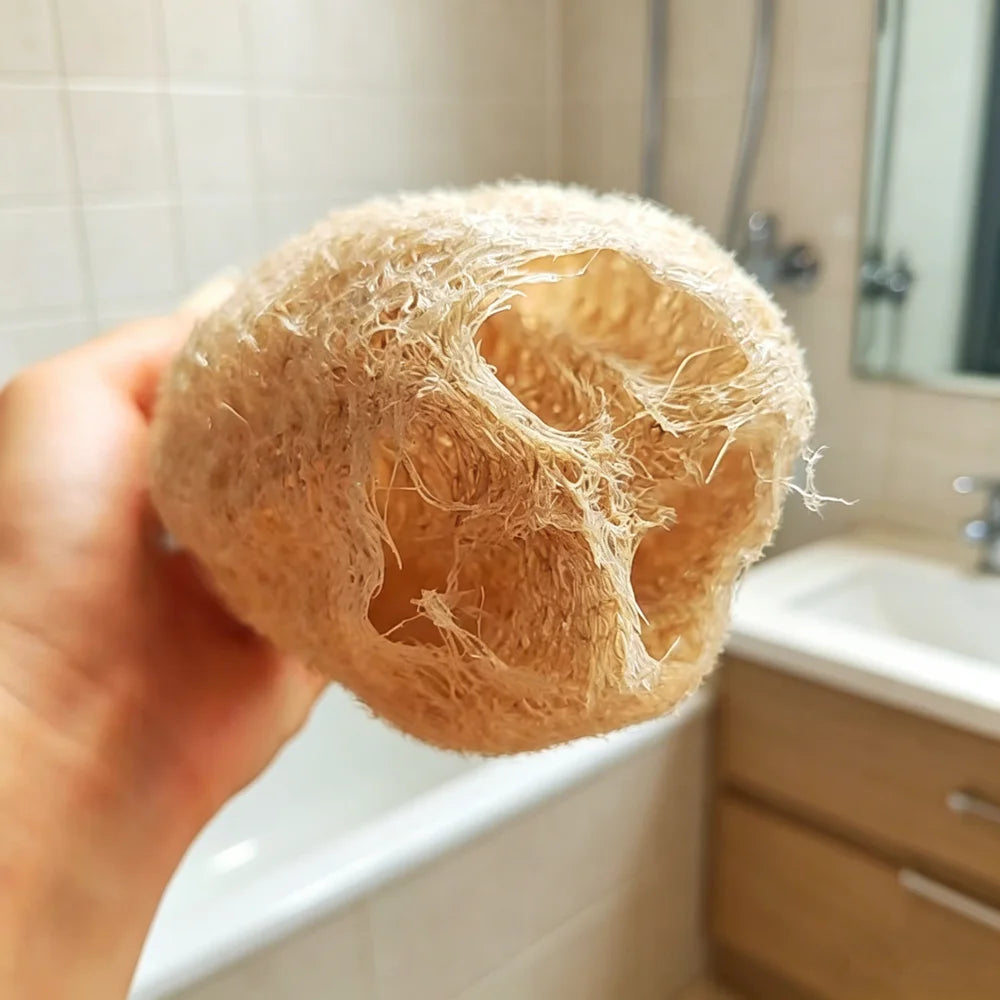Éponge de Luffa Naturelle Multi-Usages – Corps, Cuisine & Salle de Bain