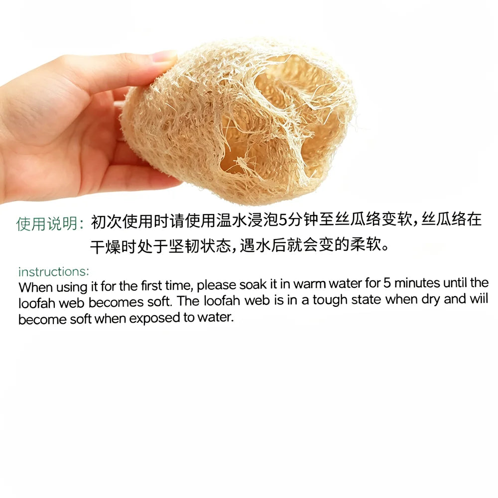 Éponge de Luffa Naturelle Multi-Usages – Corps, Cuisine & Salle de Bain